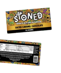 Amanita Muscaria Mushroom