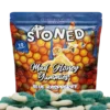 stoned mushroom gummies